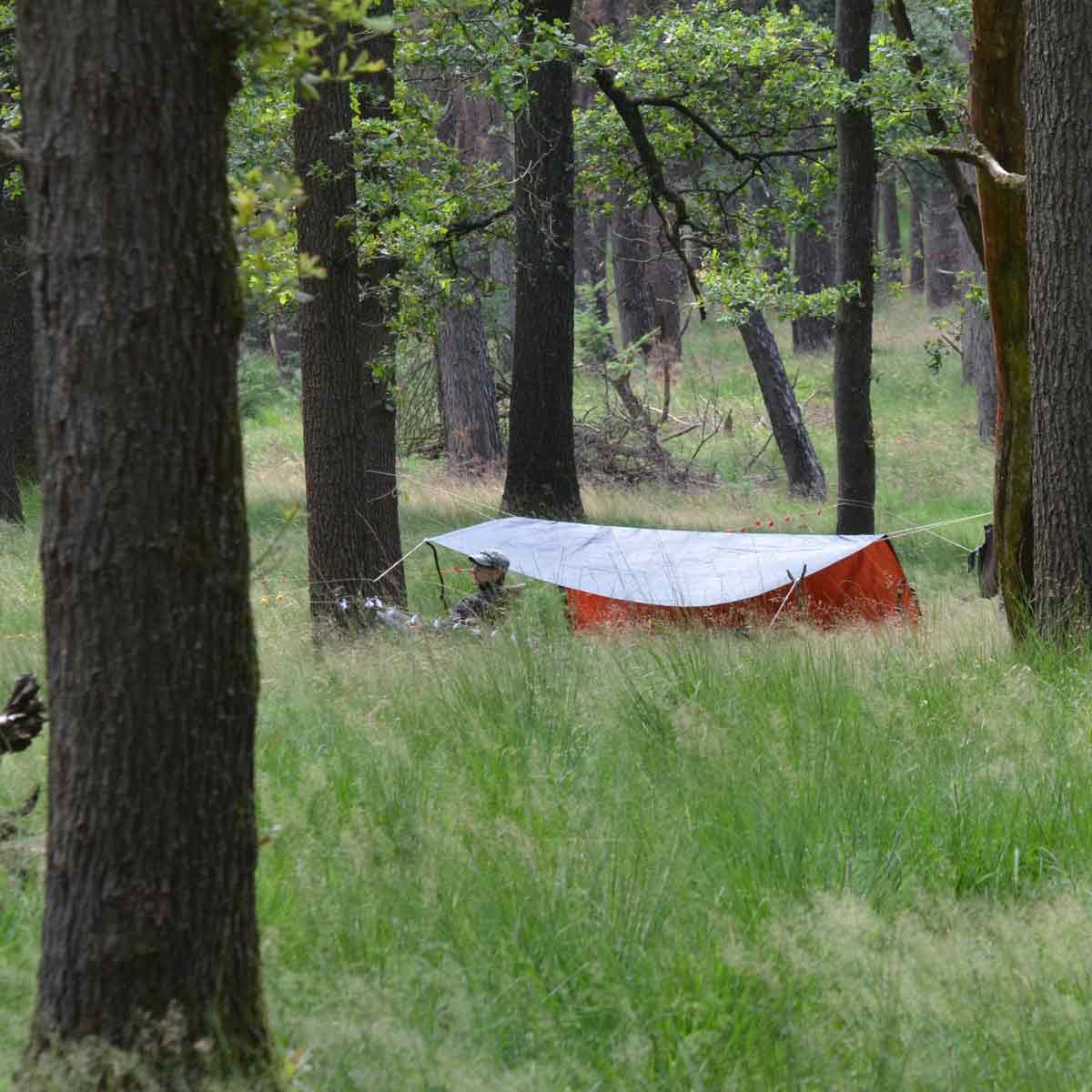 vision quest veluwe